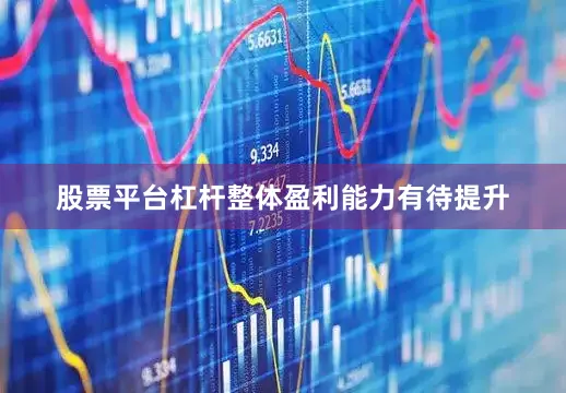 股票平台杠杆整体盈利能力有待提升