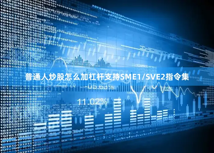 普通人炒股怎么加杠杆支持SME1/SVE2指令集
