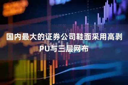国内最大的证券公司鞋面采用高剥PU与三层网布